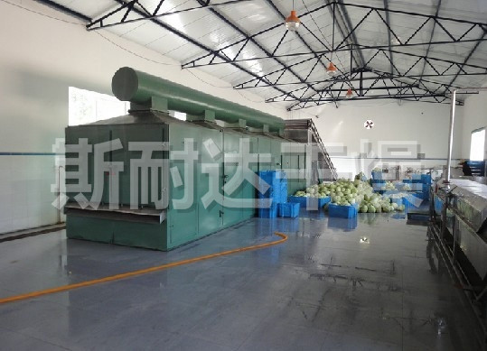 DWC系列脱水蔬菜带式干燥机