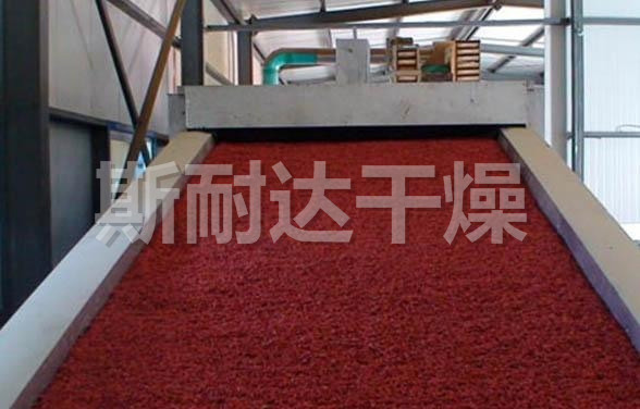 DWC系列脱水蔬菜带式干燥机