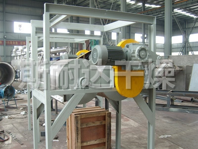 滚筒刮板干燥机