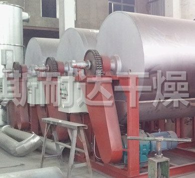 滚筒刮板干燥机
