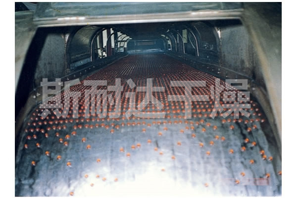 RL系列熔融造粒机